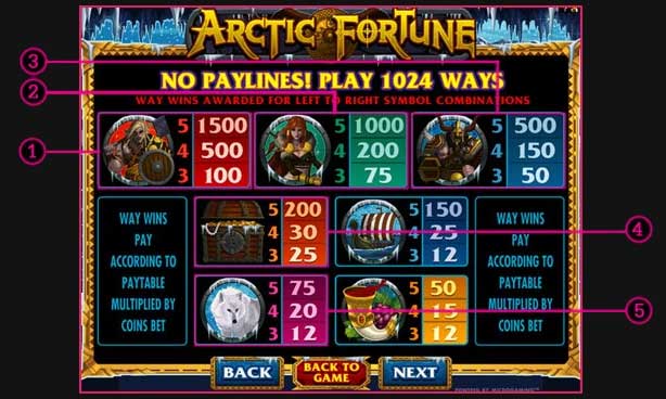 arctic fortune slot symbol